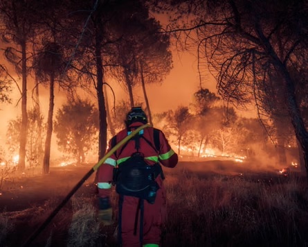 Apoyo a victimas de incendios